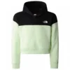 The North Face - Girl's Drew Peak Crop Pullover Hoodie - Hoodie